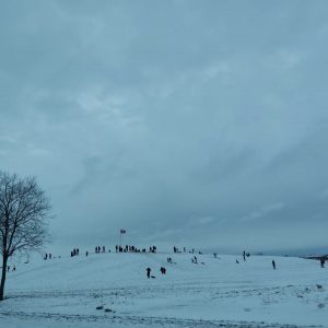 419773784_373007292084553_8297847570638259292_n